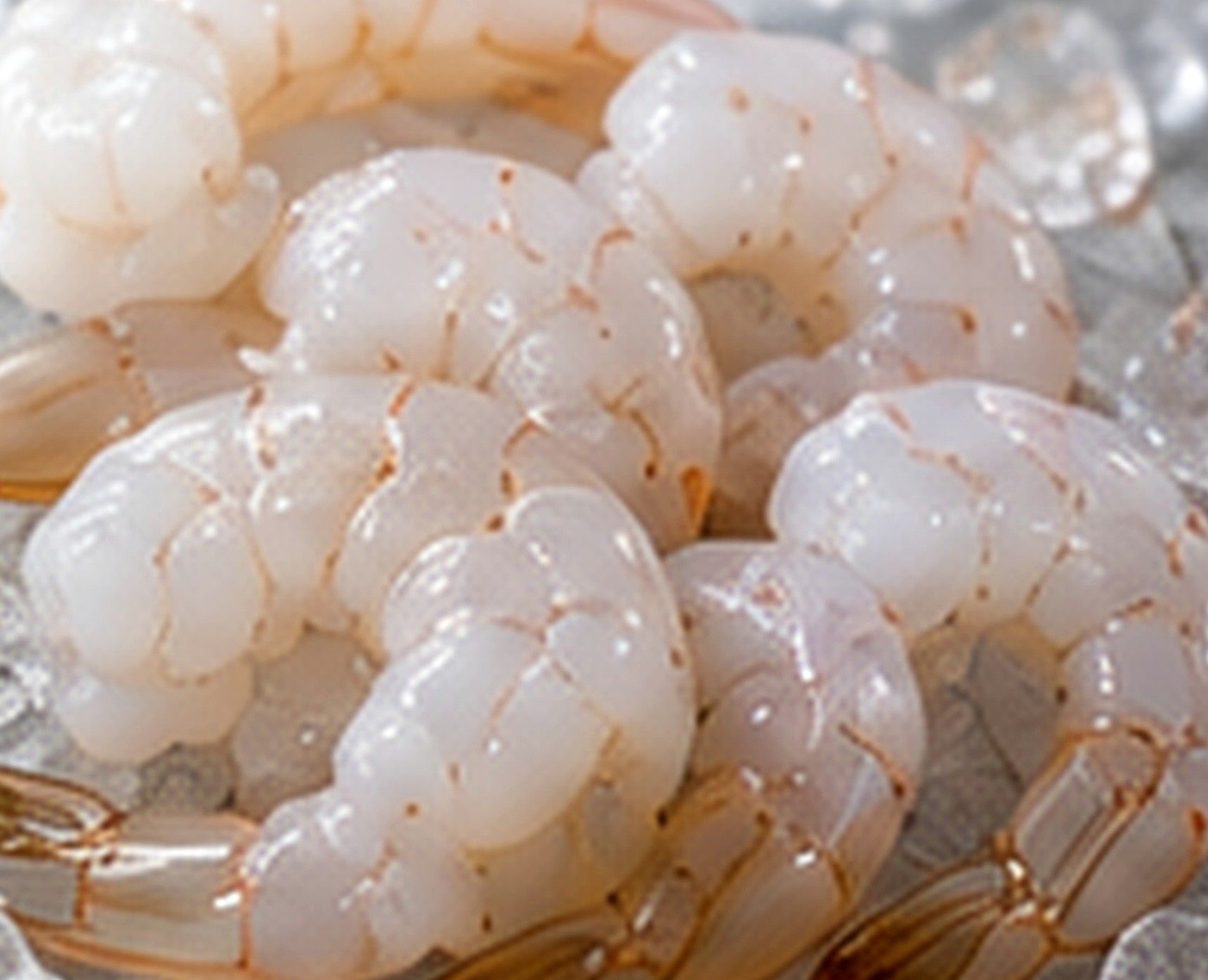 Peeled and deveined tail-on Vannamei shrimp over ice